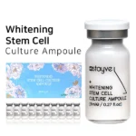 WhiteningNew Web grande