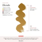 BC Drawndown Brow Blonde HighRes SL Final x bb acbe f af be