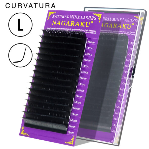 CURVATURA L