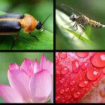 H7f6ec4aab33b41319898b373bc0fb3f9T