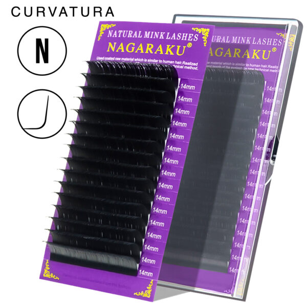 CURVATURA N 1