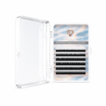 M Shaped Classics Eyelashes
